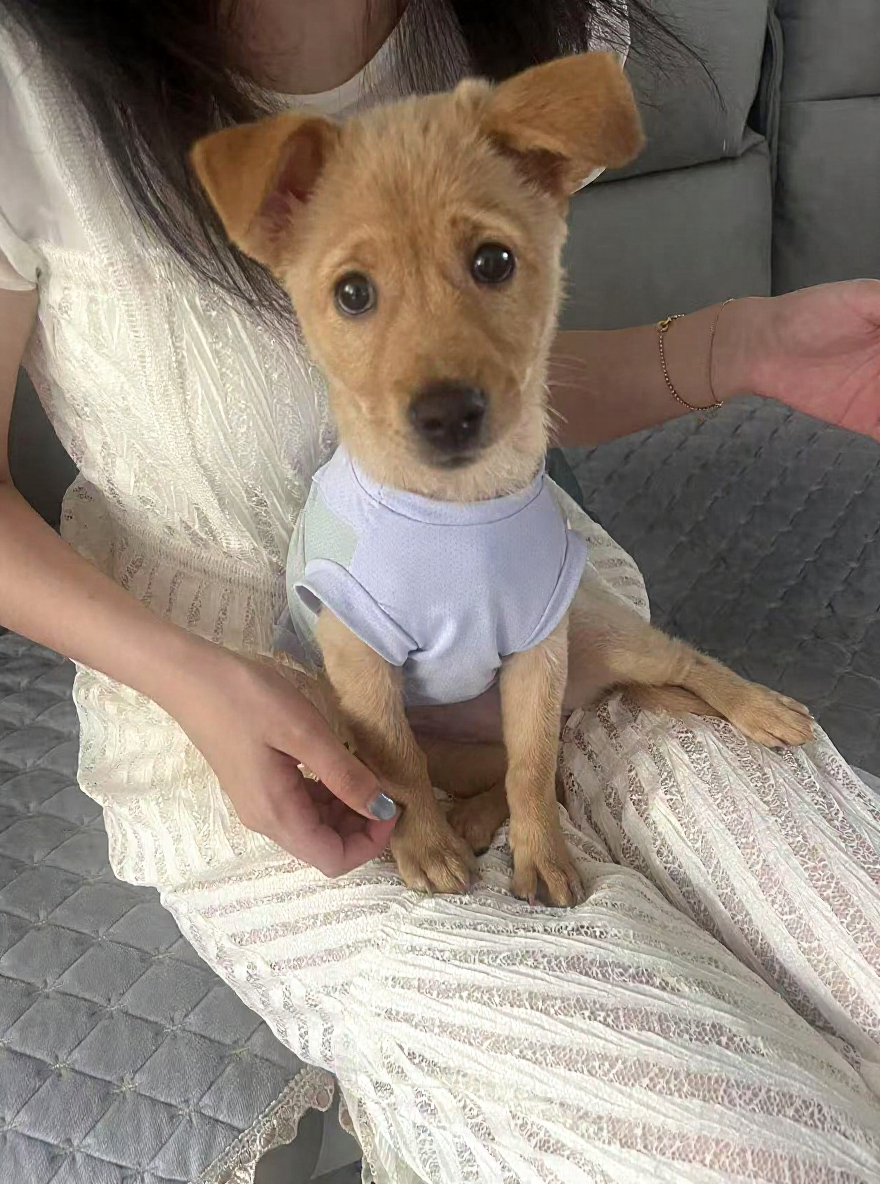 Featured image of the post